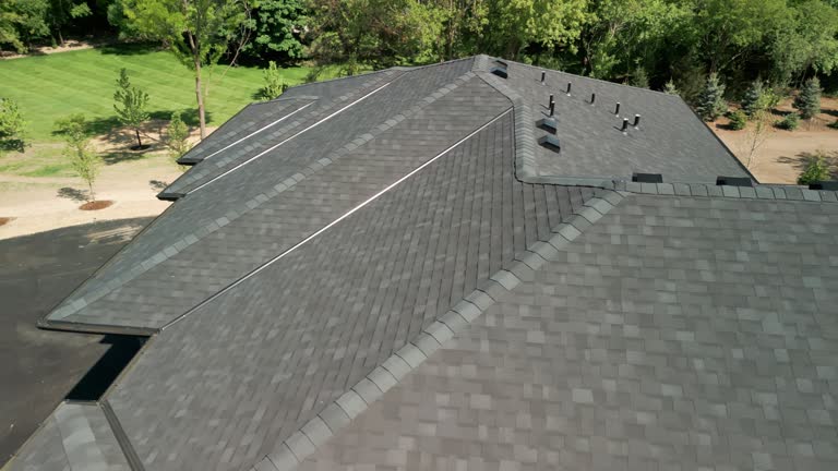 Best Asphalt Shingle Roofing  in Donna, TX