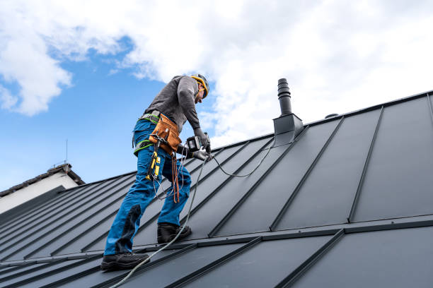 Emergency Roof Repair in Donna, TX